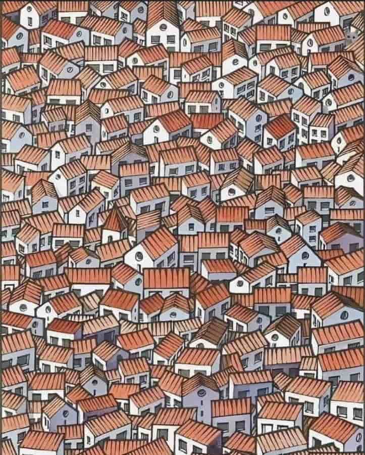 Optical Illusion Challenge Can You Find A Cat Among The Houses In 5